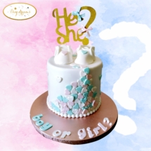 Boy-or-Girl-cake-design